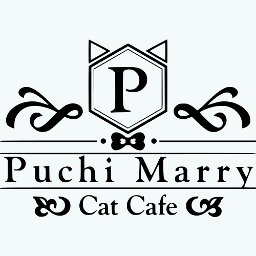 リスティング用に提出されたCat Cafe Puchi Marry Sapporo猫カフェの写真