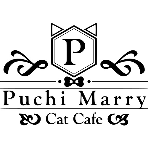 Photo of a cat cafe called Cat Cafe Puchi Marry Sendai Aoba submitted for their listing