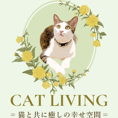 Photo of a cat cafe called Cat Living Shelter Cafe submitted for their listing
