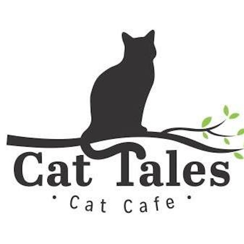 リスティング用に提出されたCat Tales Cat Cafe猫カフェの写真
