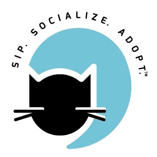 Photo of a cat cafe called CatCafe Lounge submitted for their listing