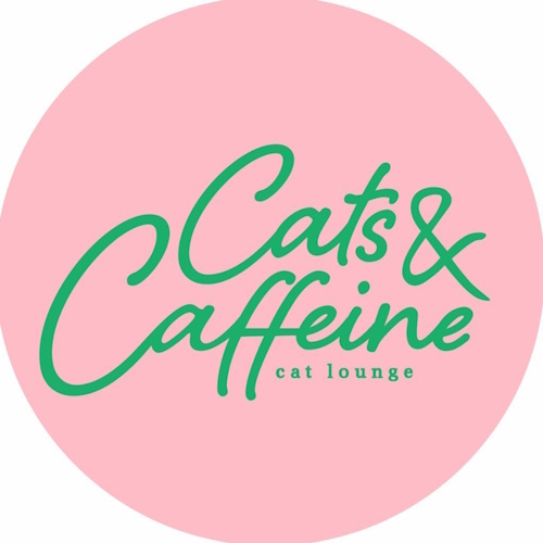 リスティング用に提出されたCats & Caffeine猫カフェの写真