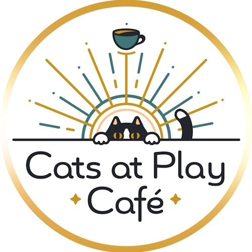 リスティング用に提出されたCats at Play Cafe猫カフェの写真
