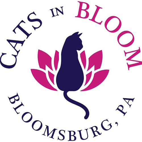 Photo of a cat cafe called Cats in Bloom submitted for their listing
