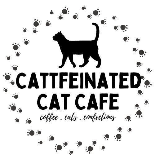 リスティング用に提出されたCattfeinated Cat Cafe猫カフェの写真