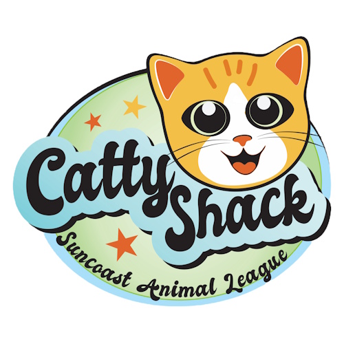 リスティング用に提出されたCatty Shack Lounge & Adoption Center猫カフェの写真