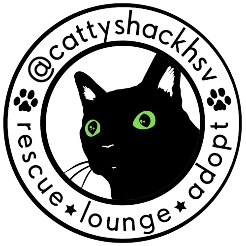 リスティング用に提出されたCattyshack, Inc.猫カフェの写真