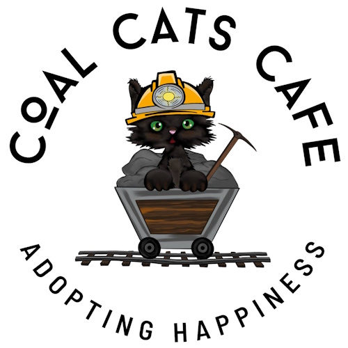 Photo of a cat cafe called Coal Cats Cafe submitted for their listing