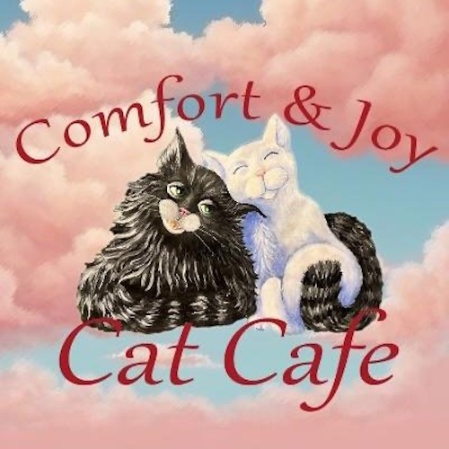 Photo of a cat cafe called Comfort & Joy Cat Cafe submitted for their listing