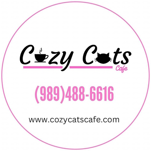 リスティング用に提出されたCozy Cats Cafe猫カフェの写真