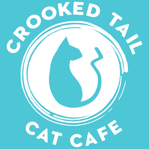 リスティング用に提出されたCrooked Tail Cat Cafe猫カフェの写真