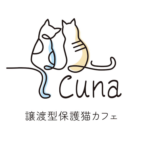リスティング用に提出されたCuna猫カフェの写真