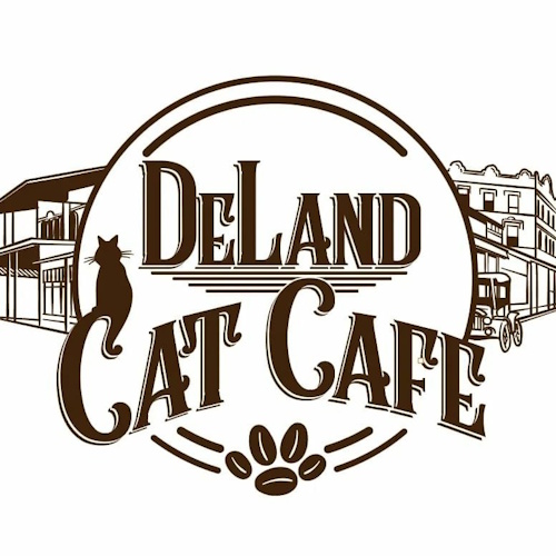 リスティング用に提出されたDeLand Cat Cafe猫カフェの写真