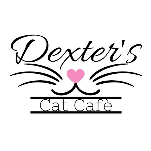 Photo of a cat cafe called Dexter's Cat Cafe submitted for their listing