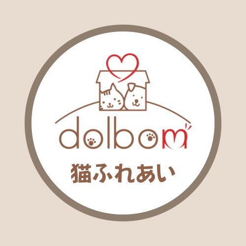 リスティング用に提出されたDogree猫カフェの写真