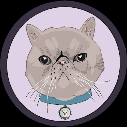リスティング用に提出されたFawn's Family Cat Rescue & Lounge猫カフェの写真