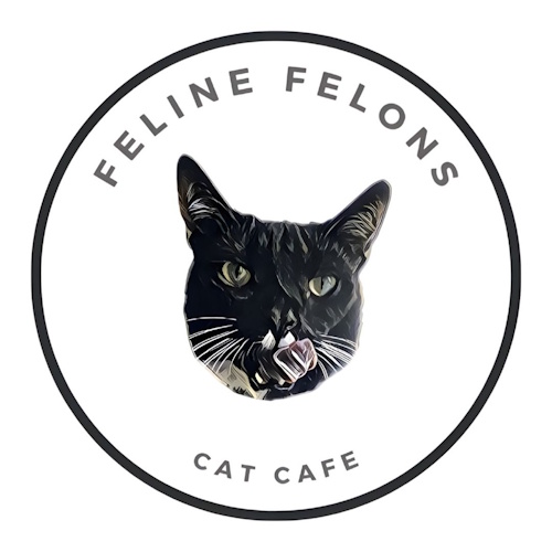 リスティング用に提出されたFeline Felons Cat Cafe猫カフェの写真