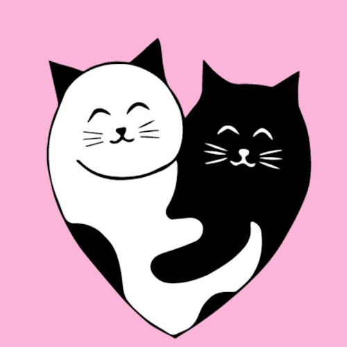 Photo of a cat cafe called Feline Good Social Club submitted for their listing