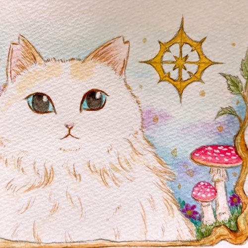 リスティング用に提出されたFelis no Hakoniwa猫カフェの写真