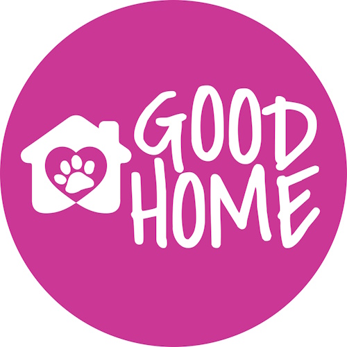 Photo of a cat cafe called Good Home Pet Adoptions submitted for their listing