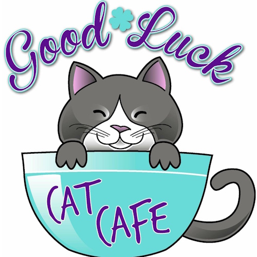 リスティング用に提出されたGood Luck Cat Cafe猫カフェの写真