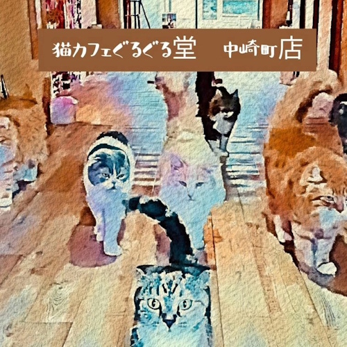 リスティング用に提出されたGurugurudo Cat Cafe Umeda猫カフェの写真
