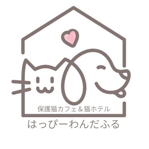 リスティング用に提出されたHappy Wonderful猫カフェの写真