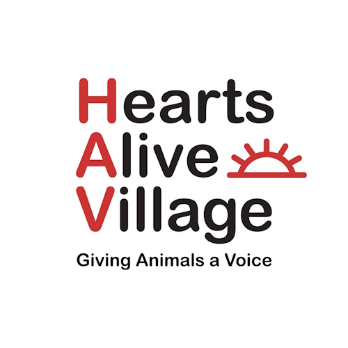 リスティング用に提出されたHearts Alive Village Cat Cafe猫カフェの写真