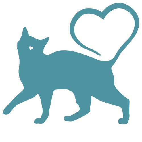 リスティング用に提出されたHogoneko Andou猫カフェの写真