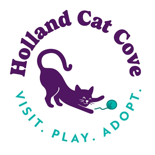 リスティング用に提出されたHolland Cat Cove猫カフェの写真
