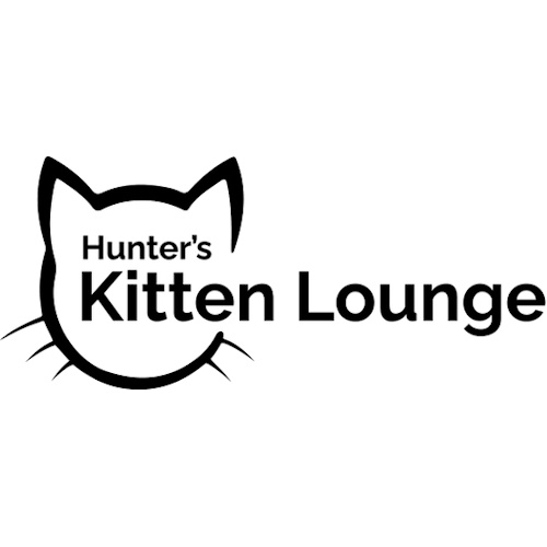 リスティング用に提出されたHunter's Kitten Lounge猫カフェの写真