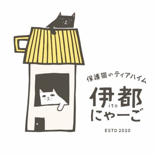 リスティング用に提出されたIto Nyāgo Refuge Café猫カフェの写真