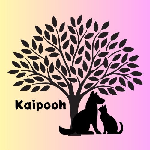 リスティング用に提出されたKaipooh猫カフェの写真