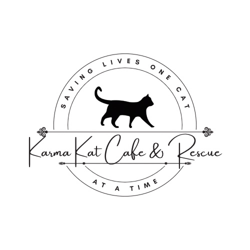 Photo of a cat cafe called Karma Kat Cafe & Rescue submitted for their listing