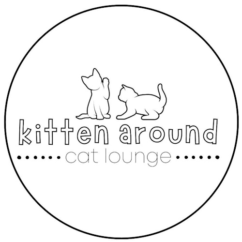 リスティング用に提出されたKitten Around Cat Lounge猫カフェの写真