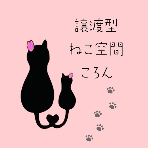 リスティング用に提出されたKoron猫カフェの写真