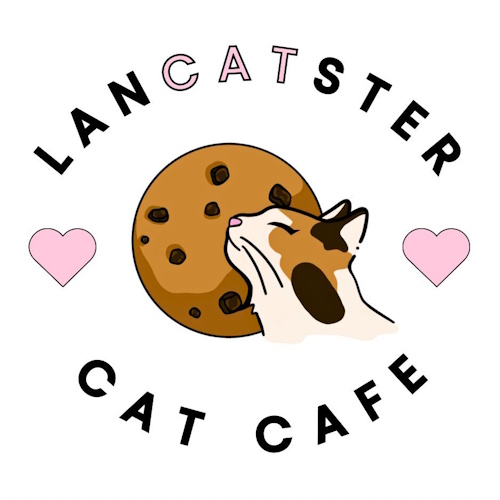 Photo of a cat cafe called LanCATster Cat Cafe submitted for their listing