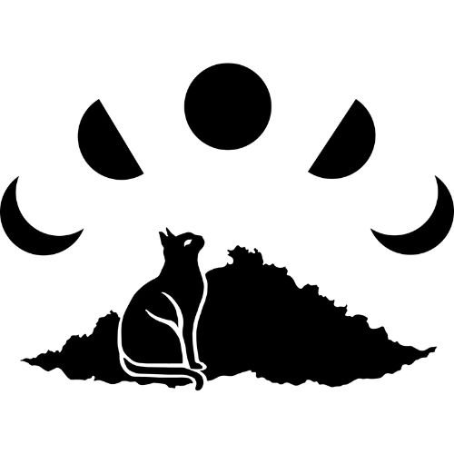 Photo of a cat cafe called Luna Cat Collective submitted for their listing