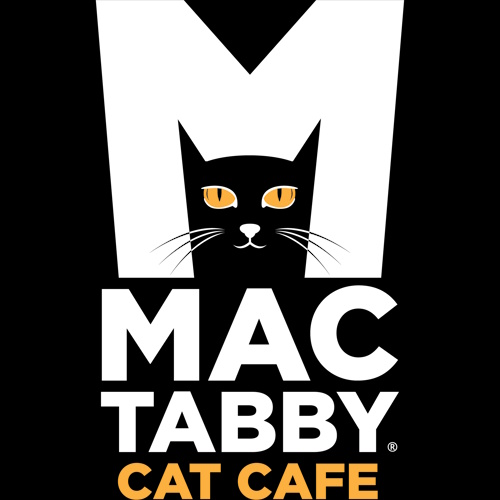リスティング用に提出されたMac Tabby Cat Cafe猫カフェの写真
