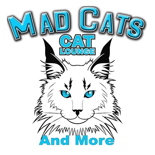 Photo of a cat cafe called Mad Cats And More submitted for their listing