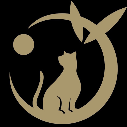 Photo of a cat cafe called MAOMAO submitted for their listing