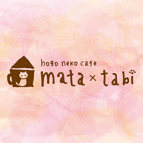リスティング用に提出されたMata x Tabi猫カフェの写真