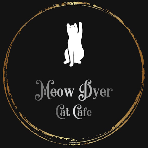 Photo of a cat cafe called Meow Dyer Cat Cafe submitted for their listing