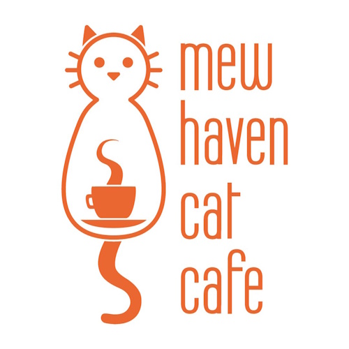 リスティング用に提出されたMew Haven Cat Cafe猫カフェの写真