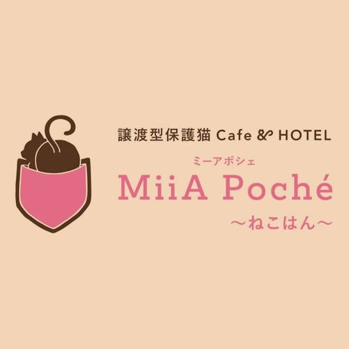 リスティング用に提出されたMiiA Poché猫カフェの写真
