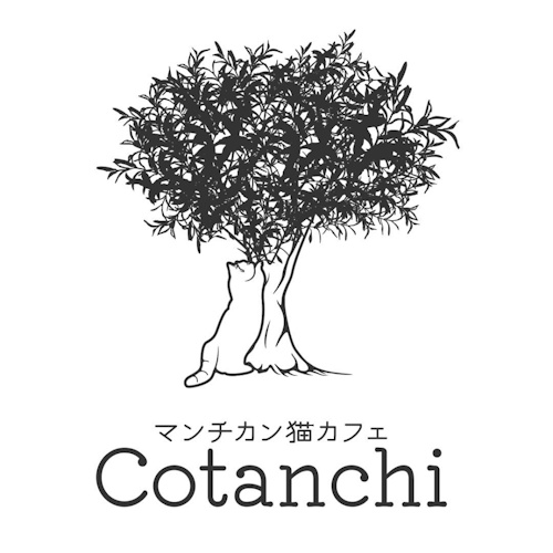 リスティング用に提出されたMunchkin Cat Café Cotanchi猫カフェの写真