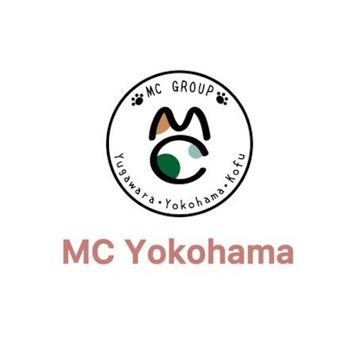 リスティング用に提出されたMy Cat Yokohama猫カフェの写真