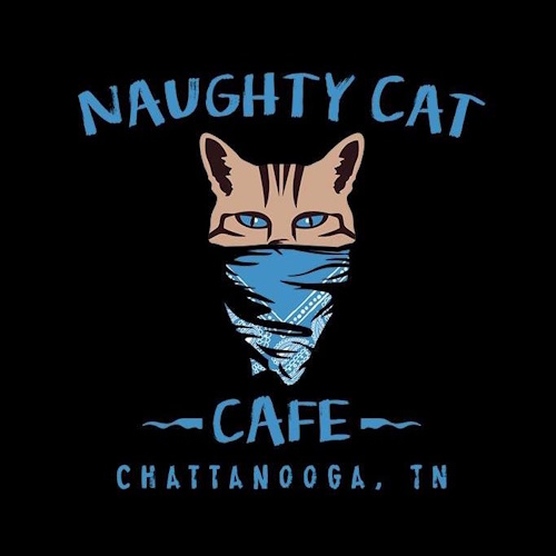Photo of a cat cafe called Naughty Cat Cafe submitted for their listing