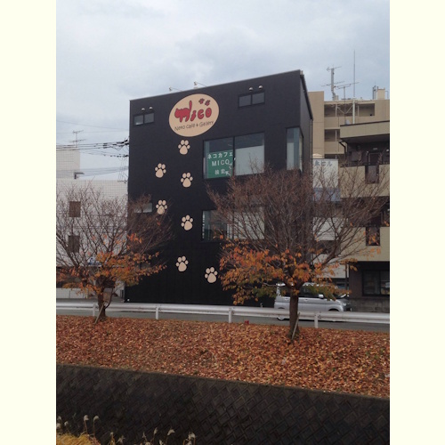 Photo of a cat cafe called Neko Cafe MICO submitted for their listing