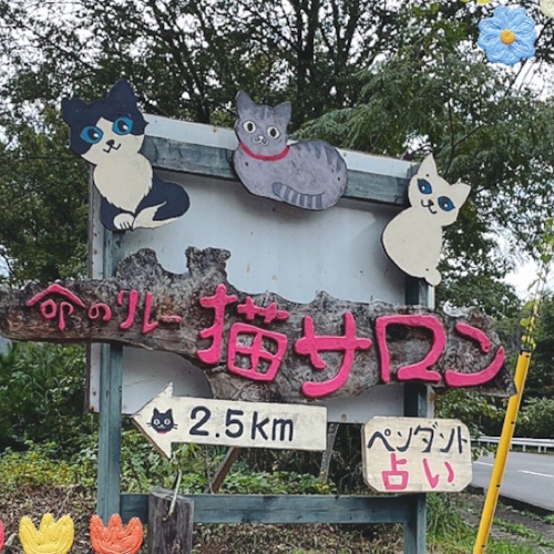 Photo of a cat cafe called Neko Salon Izumigatake submitted for their listing
